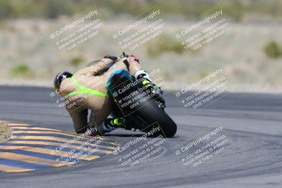 media/Apr-13-2024-SoCal Trackdays (Sat) [[f1617382bd]]/10-Turn 14 Backside (135pm)/